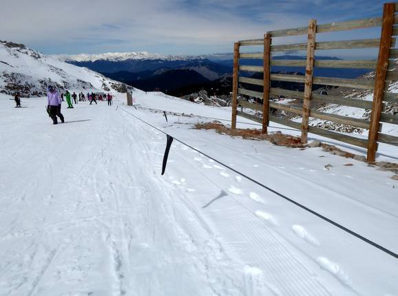 Baby 1 (Kellaria 1950)