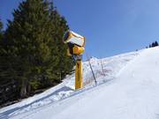 Cannone da neve ad alte prestazioni al Chuenisbärgli