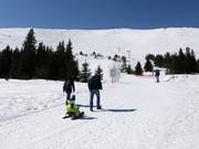 Suggerimento per i più piccoli 