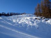 Area freeride Gamskogel