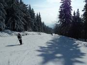 Discesa sud Ochsenkopf