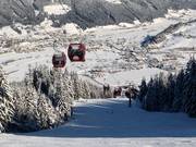 8er Königslehenbahn I - 8pers.| Telecabina (Monofune)