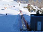 Zauberteppich Goldeck - Tapis roulant/Tappeto Magico