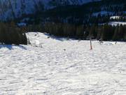 Itinerario sciistico presso la Seeeckbahn