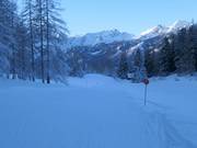 Discesa a valle n. 2