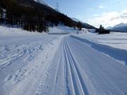 Pista da fondo in Engadin St. Moritz