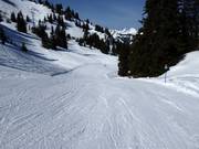 Pista facile Hühnerspiel-Lochstafel