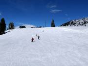 Ottima preparazione delle piste a Brighton