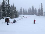 Tappeto mobile per principianti presso la stazione a monte della Red Pine Gondola