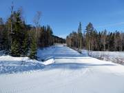 Pista facile Skogsnigeln