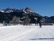 Piste da fondo nella Tannheimer Tal