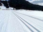 Piste da fondo a Balderschwang