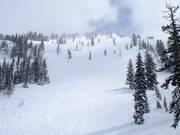 Terreno ripido presso la seggiovia Great Western Express