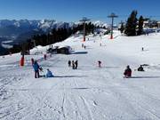 Vista sulla pista facile presso l’Ötzilift