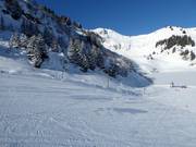 Sciovia Lac de Bretaye (Villars)