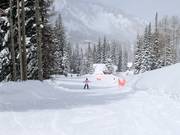 Area di esercitazione presso il tappeto mobile Caterpillar