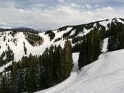 Vista sulle piste dell'Aspen Mountain