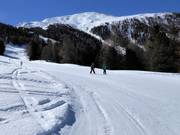 Pista pianeggiante nella parte superiore, solitamente più sportiva