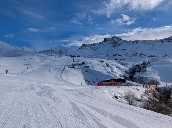 Frêne - © Michael Medek - Foto Michael Medek