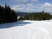 Discesa per famiglie