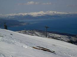 Narvikfjellet - Narvik
