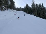 Discesa nera n. 14 Balbach-Ochsengarten