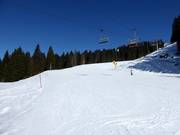 Pista Pioverna n. 25