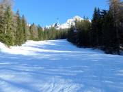 Discesa a valle Ochsenweide