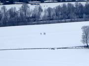Sci di fondo a Kirchdorf in Tirol