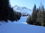 Discesa a valle di media difficoltà