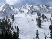 Pendii di neve fresca nell'Honeycomb Canyon