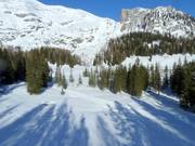 Pista da fondo Wurzeralm