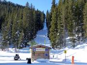 Pfaffenbühel III - Skilift con T-bar/ancora