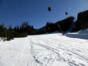 Steinbergriedel n. 11