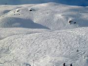 Tanto spazio libero per sciare