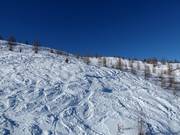 Possibilità di freeride presso la seggiovia esaposto Thurntaler