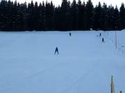 Vista sulla pista facile