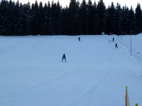 Vista sulla pista facile