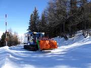 Suggerimento per i più piccoli 