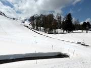 Pista facile con tappeto a Laquette