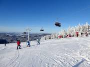 Panorama nell’area sciistica Mitterdorf - La tua esperienza Almberg