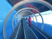 Moderni tappeti mobili portano i principianti in cima