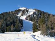 Pista Pancugolo a Madonna di Campiglio