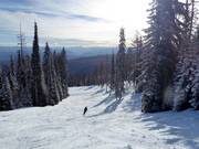 Pista Simple Pleasure