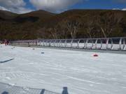 Suggerimento per i più piccoli 