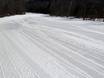 Preparazione delle piste Appalachi Centrali e Meridionali – Preparazione delle piste Whiteface - Lake Placid