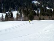 Piste da fondo a Balderschwang