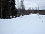 Piste da sci di fondo a Rovaniemi