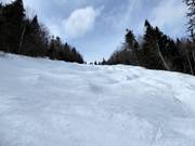 Le piste con gobbe mettono alla prova anche gli esperti