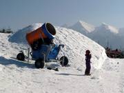 Cannone da neve a Jurgów